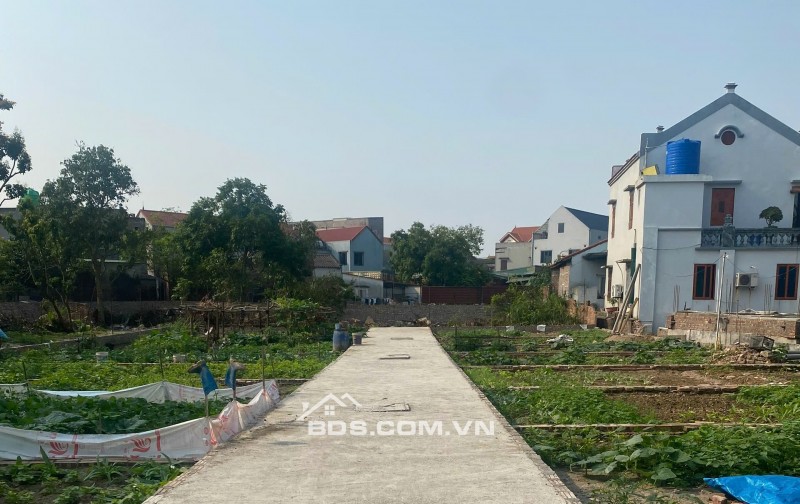 Hàng đầu tư F0 3 mặt thoáng tại Thanh Đặng – Minh Hải. Lh Ngay 03625546844